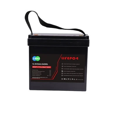 AKUMULATOR Li-FePO4 12V 50AH z BMS
